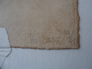 Bert Vredegoor - Zeefdruk. Titel. "Unicum". kopen? Bied vanaf 20!