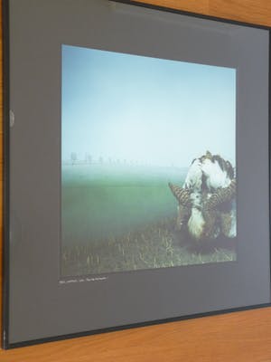 Paul den Hollander - UNTITLED kopen? Bied vanaf 55!