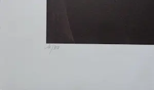 Jef van Tuerenhout - HALFNAAKTE VROUW / KLEURZEEFDRUK / 80x60cm / SIG kopen? Bied vanaf 90!