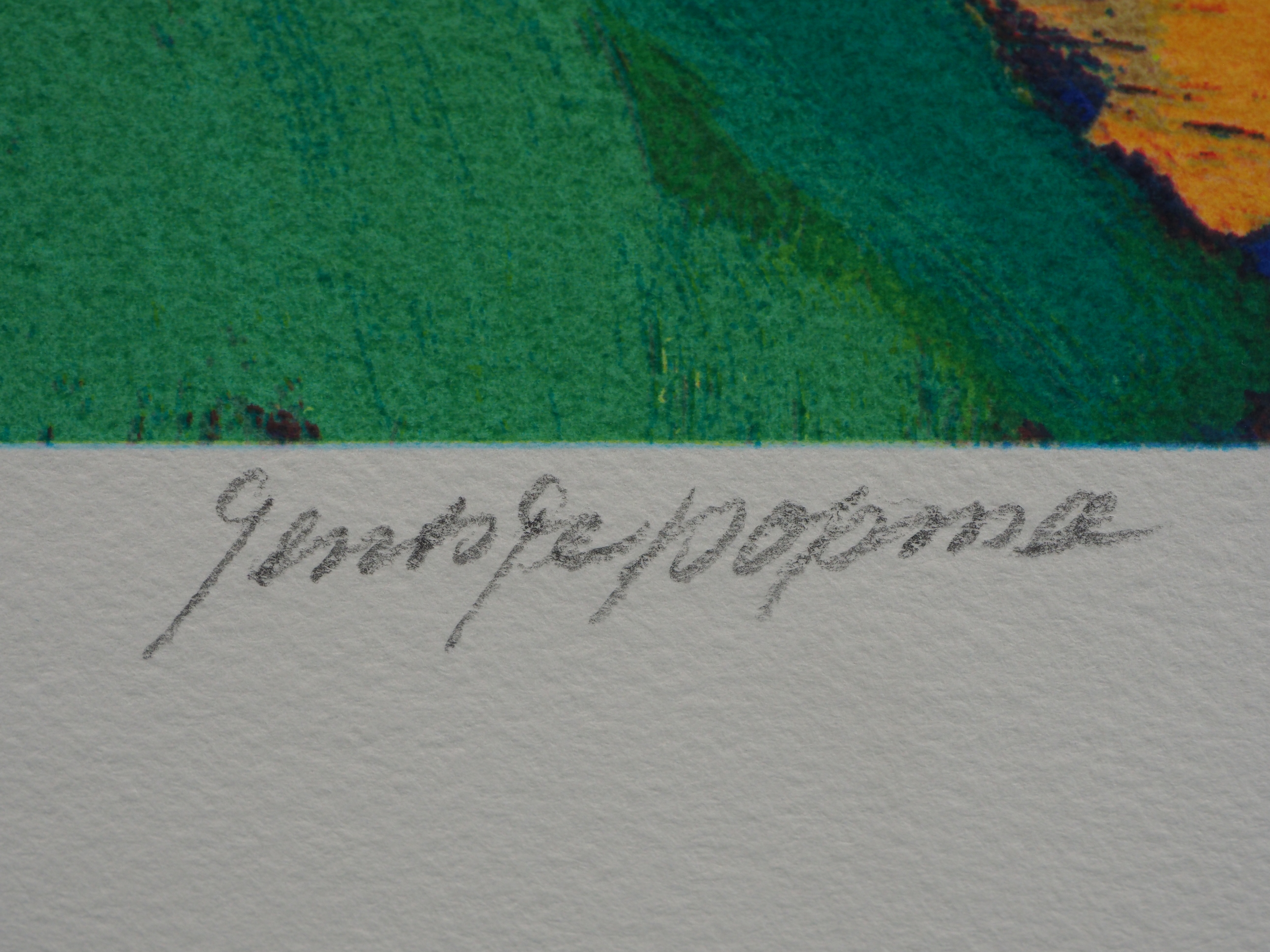 Jentsje Popma - Bollenveld kopen? Bied vanaf 50!