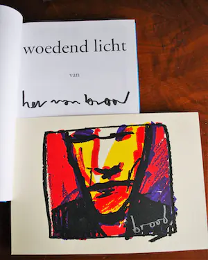 Herman Brood - Woedend Licht, incl zeefdruk + diversen kopen? Bied vanaf 100!