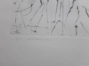 Kees Spermon - Die Winterreise kopen? Bied vanaf 45!