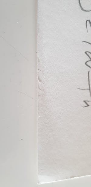 Selwyn Senatori - L'ingredienti - 150 ex. kopen? Bied vanaf 1!