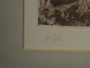 Timothy John Greenwood - gelauwerde Brits graficus - "Havik en prooi" - ETS & aquatint - oplage 100 kopen? Bied vanaf 42!