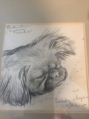 Willy Sluiter - Sweety sleeps kopen? Bied vanaf 150!