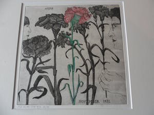 Arja van den Berg - Ingekleurde ets, Anjer kopen? Bied vanaf 20!