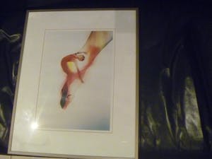 Alan David-Tu - Deze foto maakt deel uit van de Randstad fotocollectie werk kopen? Bied vanaf 25!