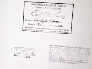 Andre De Dienes - Marilyn Monroe -Tobey Beach,1949/2006 - Auflage von 91 - drucksigniert kopen? Bied vanaf 500!