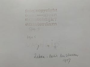 Aart Klein - Silverprint | 'Zebra - Artis Amsterdam' | 1957 (AGFA - 5) kopen? Bied vanaf 1!