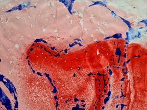 Theo Niermeijer - Ferroprint 2 kopen? Bied vanaf 1!
