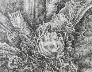 Ton Pape - Pentekening, Natuurlijke vormen kopen? Bied vanaf 1!