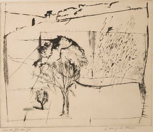 Frits van der Zander - Droge naald, Le visage de Murs kopen? Bied vanaf 10!