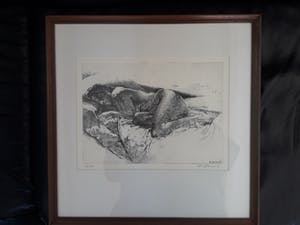 Raf Coorevits - Slapend naakt. kopen? Bied vanaf 45!