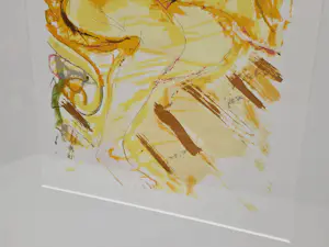 Paul de Lussanet - Naakte dame kopen? Bied vanaf 20!