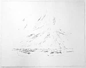 Willem den Ouden - In de uiterwaarden verkocht voor € 65!