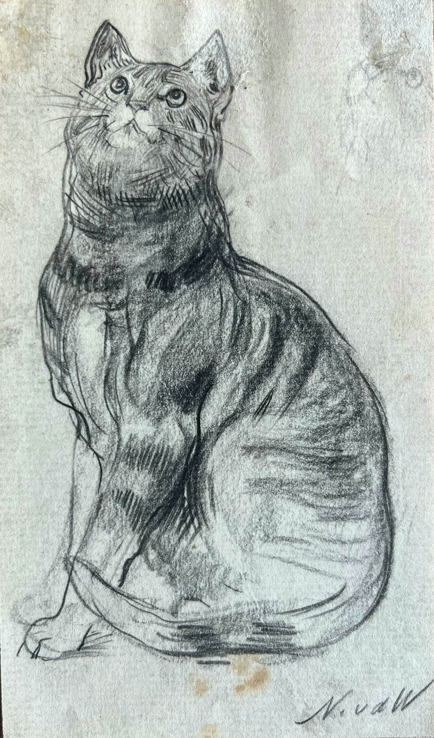 Nicolaas van der Waay - Tekening van een kat (verso studietekening) kopen? Bied vanaf 75!