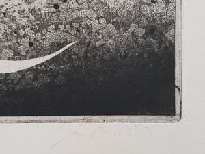 Jan Prins - Prachtige Ets - Gesigneerd in potlood kopen? Bied vanaf 1!