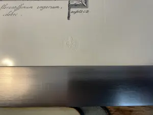 Pieter Schenk - ROTTERDAM, een bloejende Koopstadt in Hollant aan de Merwe of Maze kopen? Bied vanaf 89!