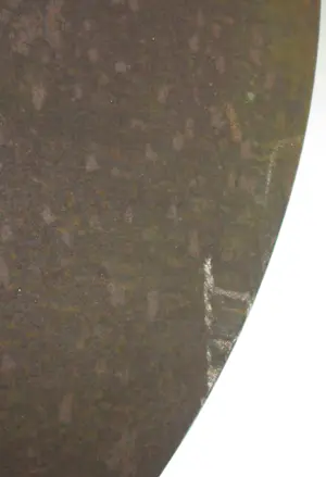 Huub & Adelheid Kortekaas - Groot monumentaal wandobject / Buitenbeeld cortenstaal, Kiemplant + boek! kopen? Bied vanaf 1000!