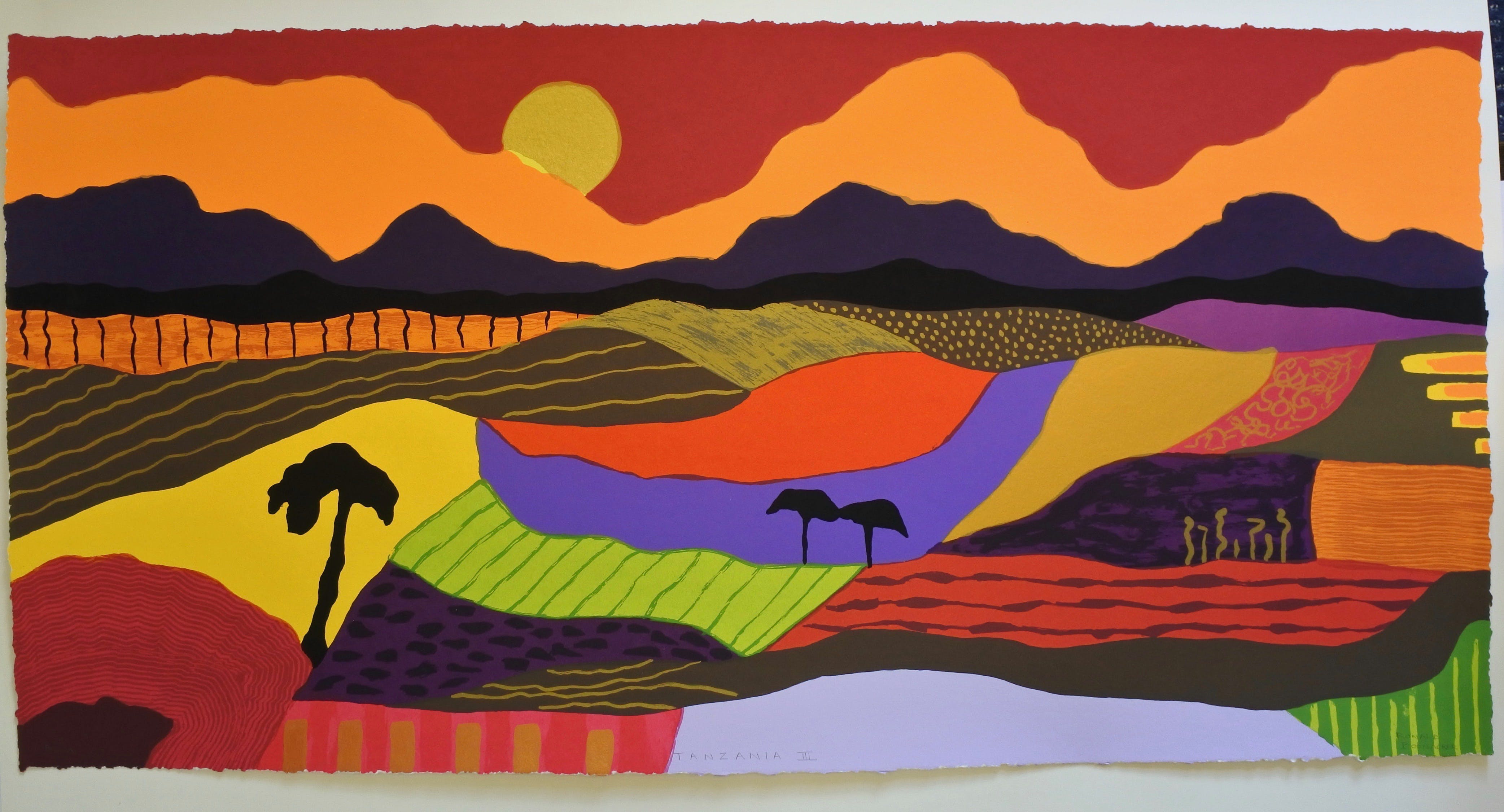 Ronald Boonacker - Tanzania III + Catalogus verkocht voor € 50!