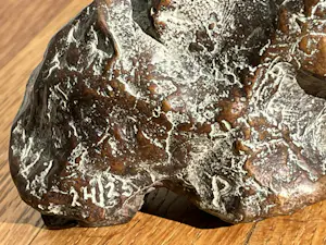 Pearl Perlmuter - RESISTANCE kopen? Bied vanaf 248!