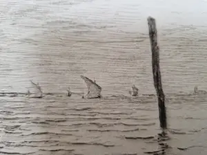 Carel Nicolaas Storm van 's-Gravesande - Meerpalen bij Venetië kopen? Bied vanaf 50!