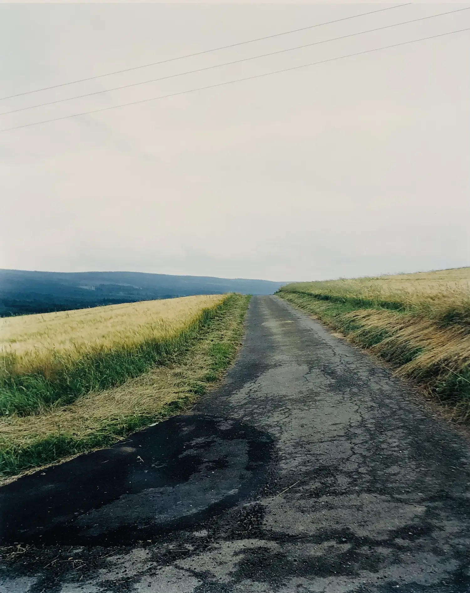 Martin Thomas (1956)