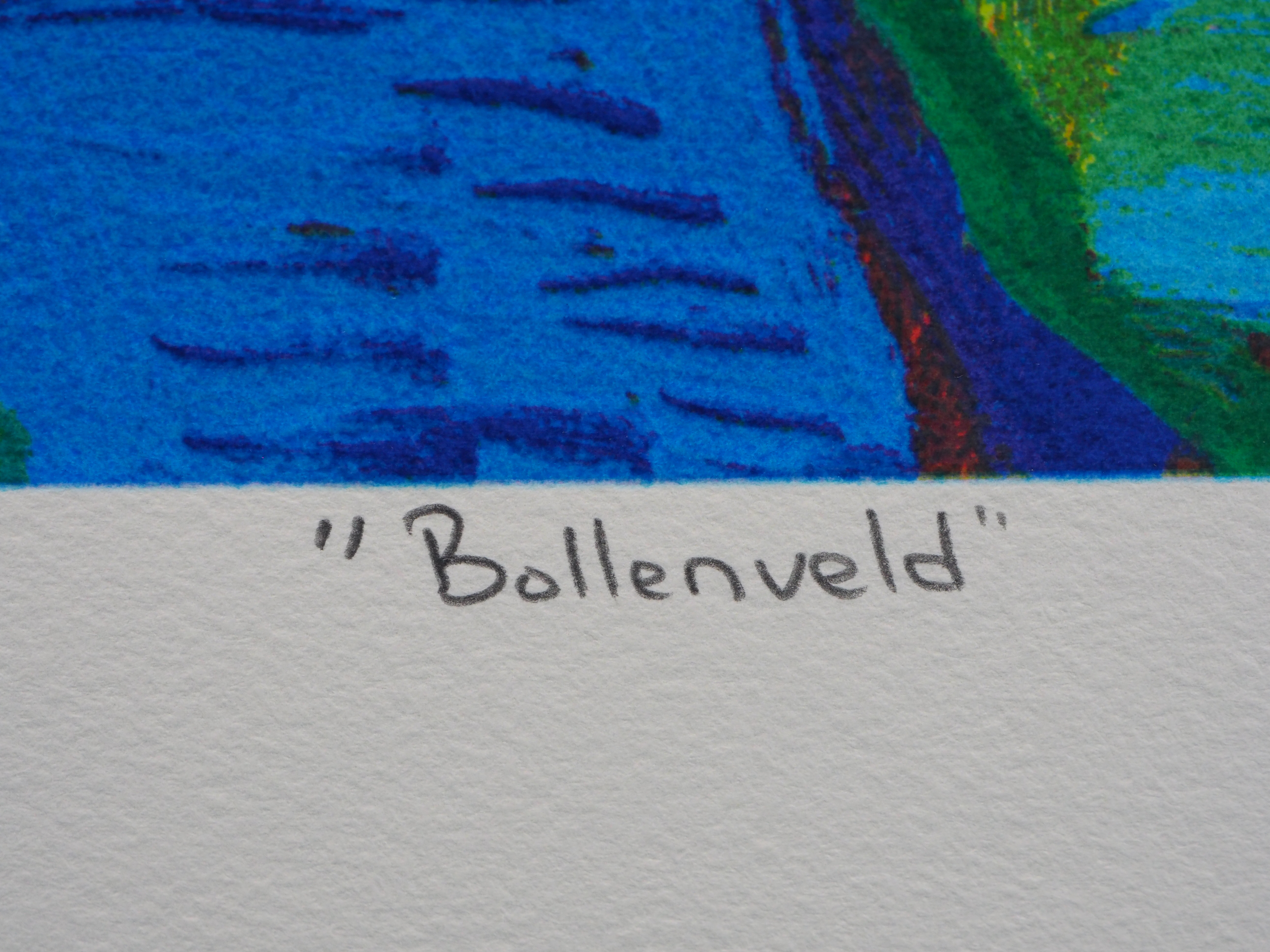 Jentsje Popma - Bollenveld kopen? Bied vanaf 50!