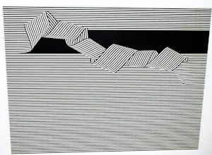 Nico van Stralen - ingelijste grote zeefdruk 'Volging' - extra: een gesigneerd boek kopen? Bied vanaf 100!