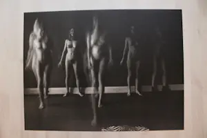 Karin Szekessy - "Weibliche Akte" 1971 kopen? Bied vanaf 190!