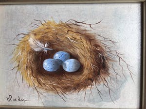 Henk Poeder - Vogelnestje kopen? Bied vanaf 59!