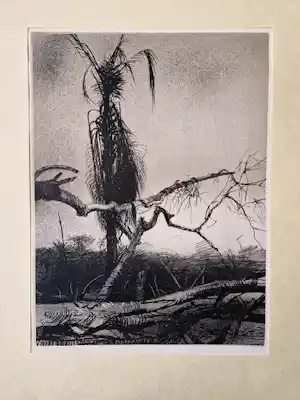 Aat Veldhoen - Mooie monochrome rota print - duinlandschap - potloodgesigneerd - 1963 verkauft für € 35!