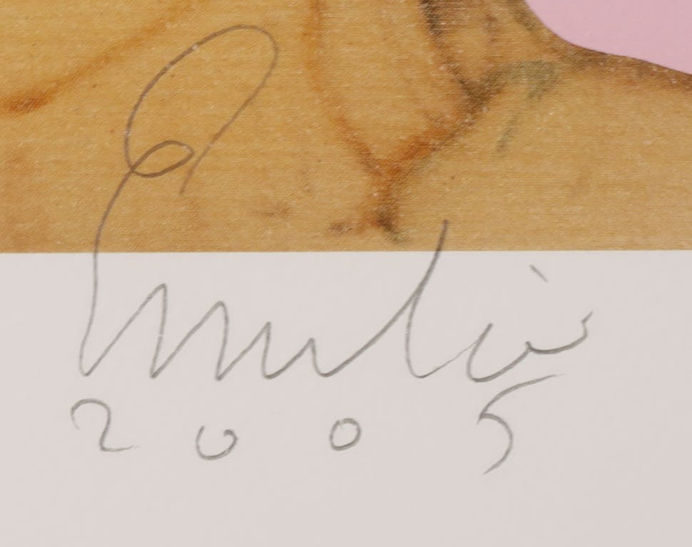 Emilio Kruithof - Zeefdruk, Magic Mirror kopen? Bied vanaf 100!