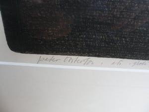 Peter Oosterbos - Ets, Titel. "Grote Groeisels". kopen? Bied vanaf 35!