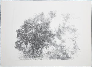 Jaap Kruijff - Litho, Bomen kopen? Bied vanaf 1!