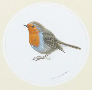 Jan Weenink - Gouache, Roodborstje - Ingelijst kopen? Bied vanaf 100!