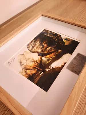 Christo - Wrapped Trees (inclusief origineel stukje stof) verkocht voor € 100!