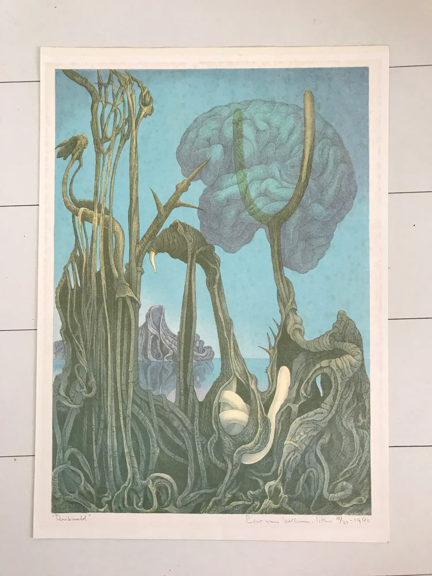 Peter van Leersum (1934)