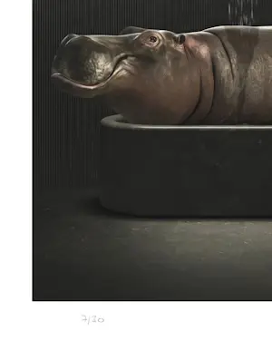 Mr. Strange - Hippopotamus Bath kopen? Bied vanaf 85!
