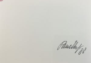 Paul Huf - C-print - 'Peonies' - 1988 (INGELIJST) kopen? Bied vanaf 150!