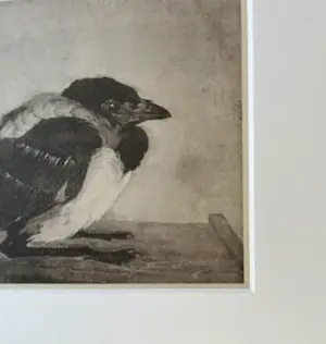 Jan Mankes - Originele Heliogravure - 2 Jonge Eksters 1923 kopen? Bied vanaf 120!