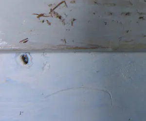 Aart Roos - Acryl op papier, Pelikaan - Ingelijst (Groot) kopen? Bied vanaf 1!