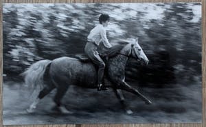 Aart Klein - foto: meisje op paard kopen? Bied vanaf 49!