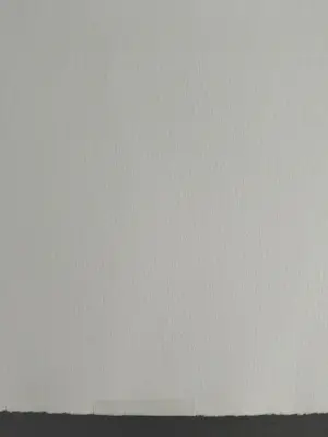 Ronald Tolman - gesigneerde ets kopen? Bied vanaf 69!