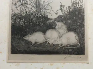 Jan Mankes - Witte muizen. Heliogravure. kopen? Bied vanaf 1!