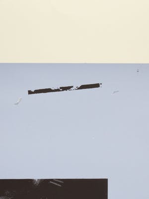 Hermien van Herpt - Basta Yanqui terrorismo kopen? Bied vanaf 1!