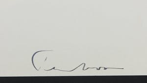 Peter Peereboom - Bebert portfolio met diverse werken, Il Viaggio kopen? Bied vanaf 1!