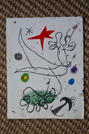 Joan Miro - onbekend kopen? Bied vanaf 1!