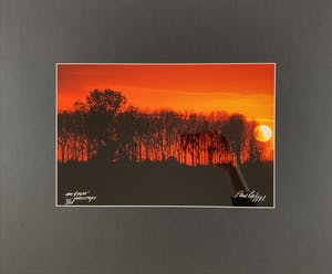 Paul Huf - C-print - 'Van Gogh's footsteps' - 1988 (INGELIJST) kopen? Bied vanaf 1!