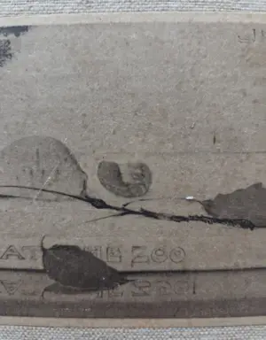 Jan Mankes - Muisje op boekje. kopen? Bied vanaf 79!